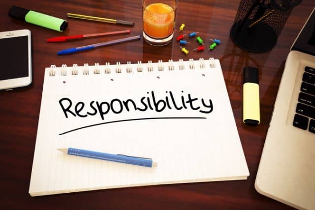 responsibility assignment explain